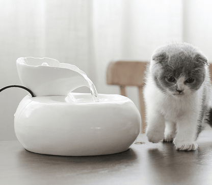 Purrfectflow Automatic Cat Water Fountain-0