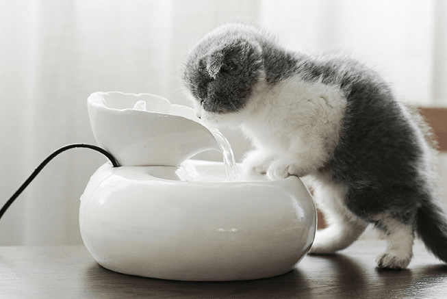 Purrfectflow Automatic Cat Water Fountain-1