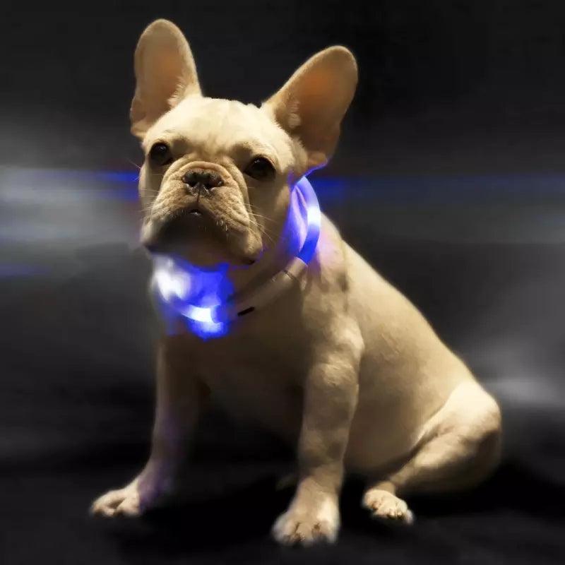 Glowguard Pet Safety Light Collar-4